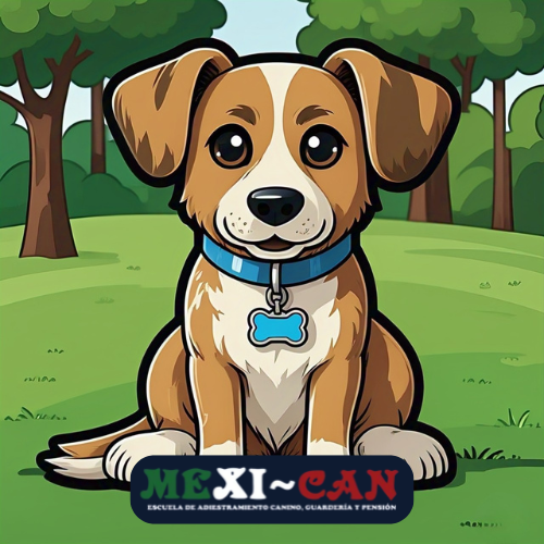 Perro entrenando en el único campo de 17,000m² en México